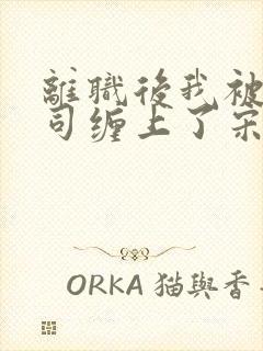 离职后我被前上司缠上了宋襄