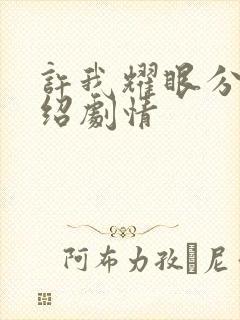 许我耀眼分集介绍剧情