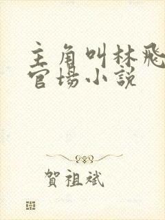 主角叫林飞杨的官场小说