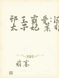 邪王霸爱:囚情太子妃 叶非夜