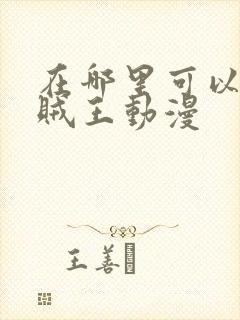 在哪里可以看海贼王动漫