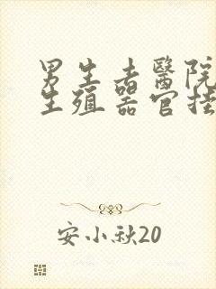男生去医院检查生殖器官挂什么科