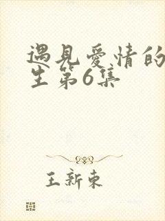 遇见爱情的利先生第6集