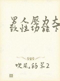 男人压力大会导致性功能下降吗