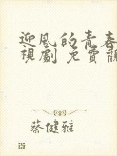 迎风的青春 电视剧 免费观看