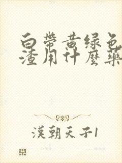 白带黄绿色豆腐渣用什么药封面