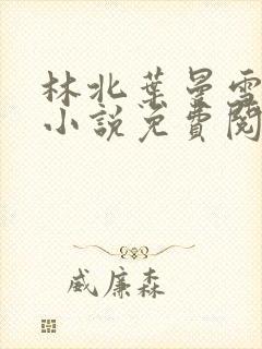 林北叶曼雪主角小说免费阅读