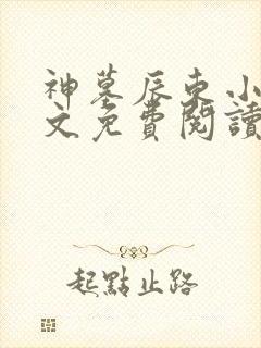 神墓辰东小说全文免费阅读完整版封面