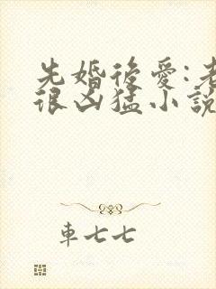 先婚后爱:老公很凶猛小说完整免费