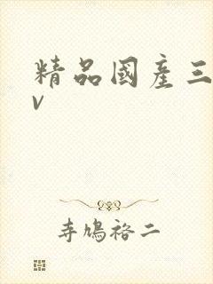 精品国产三级av