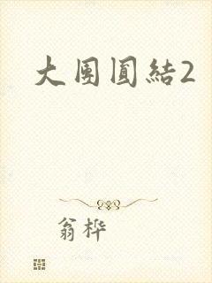 大团圆结2封面