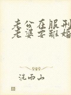 老公在服刑期间老婆要离婚可以吗封面