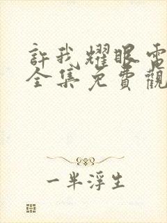 许我耀眼电视剧全集免费观看完整版