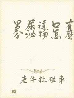 男尿道口有黄色分泌物怎么回事封面