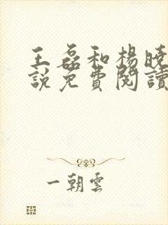 王磊和杨晓芬小说免费阅读