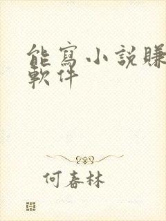 能写小说赚钱的软件