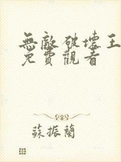 无敌破坏王中文免费观看