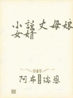 小说丈母娘爱上女婿