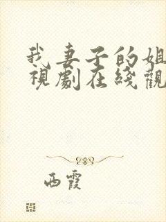 我妻子的姐姐电视剧在线观看