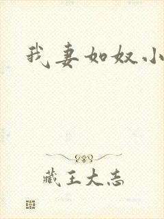 我妻如奴小说