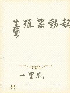 生殖器勃起向上弯