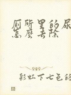 厕所里的尿骚味怎么去除