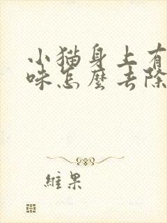 小猫身上有尿骚味怎么去除封面