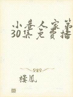 小巷人家第二部30集免费播放