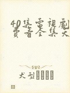 40集电视剧免费看全集天地粮人