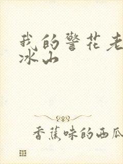 我的警花老婆是冰山封面