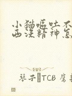 小猫呕吐不吃东西没精神怎么办封面