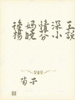 后妈情深王磊与杨晓芬小说佚名封面