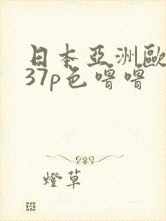 日本亚洲欧洲337p色噜噜