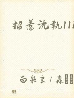 招惹沈执11h封面