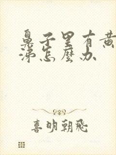 鼻子里有黄稠鼻涕怎么办