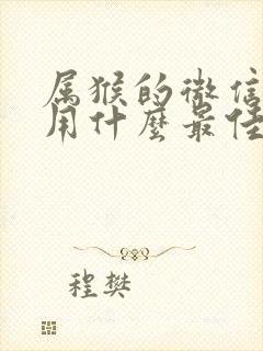 属猴的微信头像用什么最佳