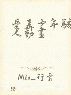 爱表少年骇客同人动画