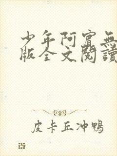 少年阿宾无删减版全文阅读封面