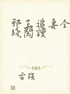 邪王追妻全文在线阅读