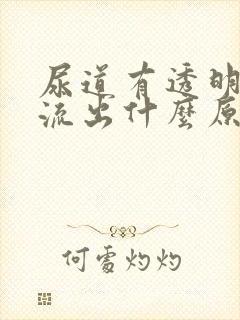 尿道有透明液体流出什么原因