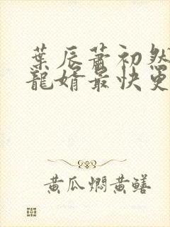 叶辰萧初然上门龙婿最快更新