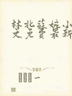 林北苏婉小说全文免费最新