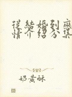 从结婚到恋爱剧情介绍分集封面