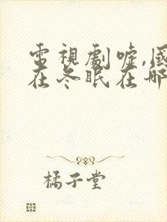 电视剧嘘,国王在冬眠在哪里拍的封面