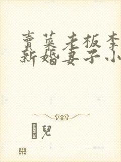 卖菜老板李芷珊新婚妻子小说封面