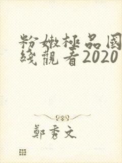 粉嫩极品国产在线观看2020封面