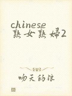 chinese熟女熟妇2