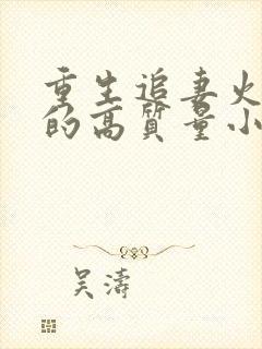 重生追妻火葬场的高质量小说封面