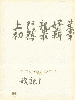 上门龙婿叶辰萧初然最新章节