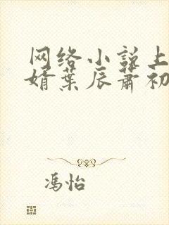 网络小说上门龙婿叶辰萧初然